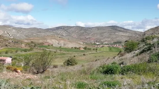 Pinares del Rodeno