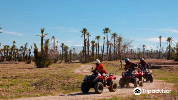 모로코 마라케시 사막 오토바이 및 드로메다리 사이클링 투어