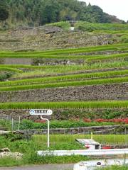 Tanimizu Rice Terrace