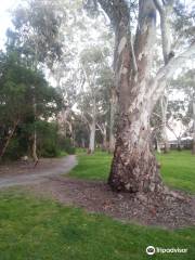 The Gums Reserve