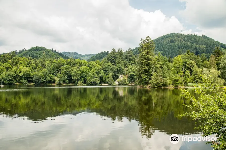 Bergsee