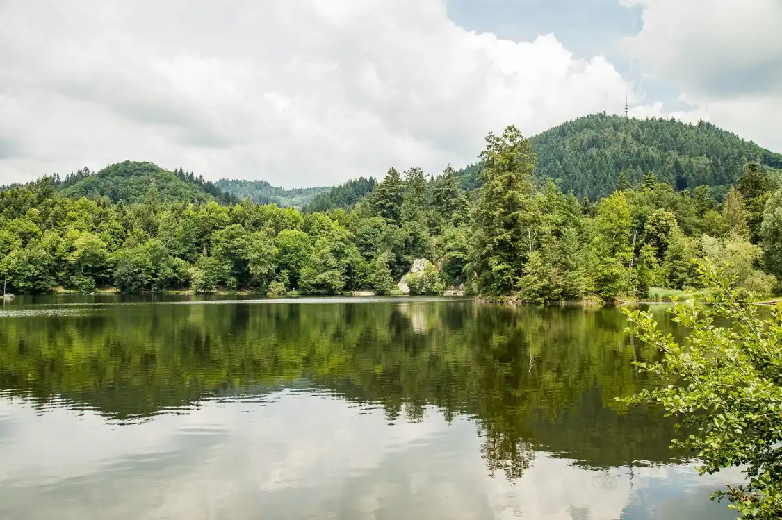 Hotels near Bergsee