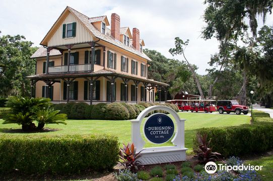Gray Line Savannah