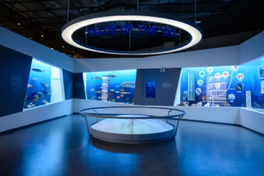 แฮนัม-กุน