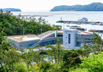 Ttangkkeut Marine Natural History Museum