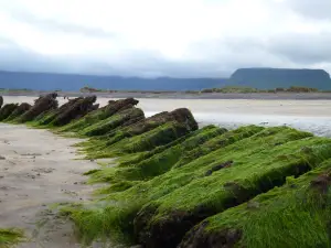 Streedagh Beach