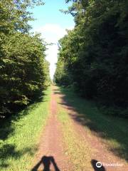 Huckleberry Rail Trail