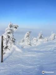 SKI ARENA SZRENICA