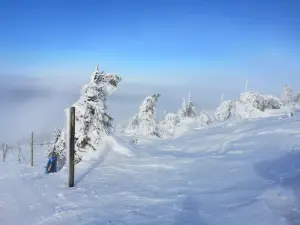 Skigebiet SkiArena Szrenica
