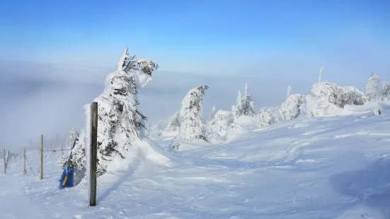 SKI ARENA SZRENICA