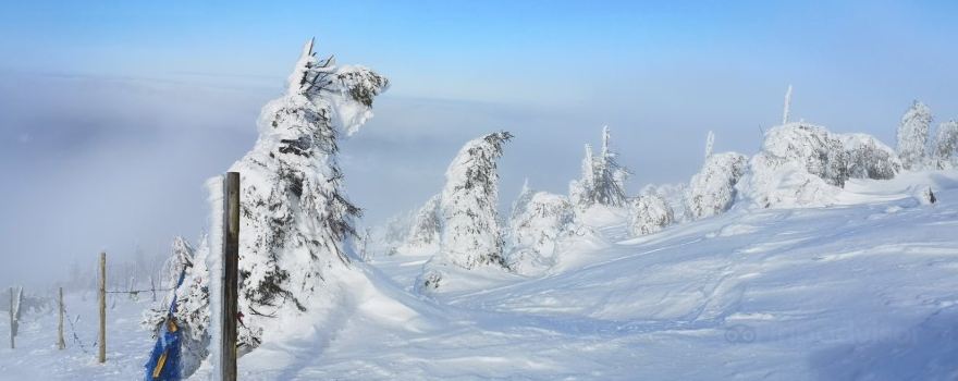 SKI ARENA SZRENICA