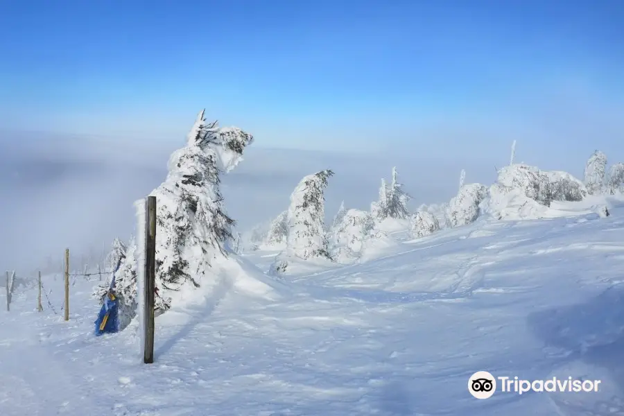 SKI ARENA SZRENICA