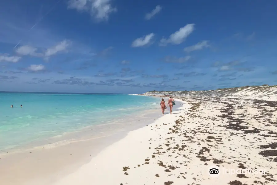 Delfinario de Cayo Largo