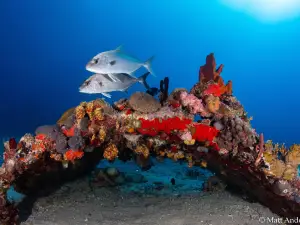 Sail Caribbean Divers