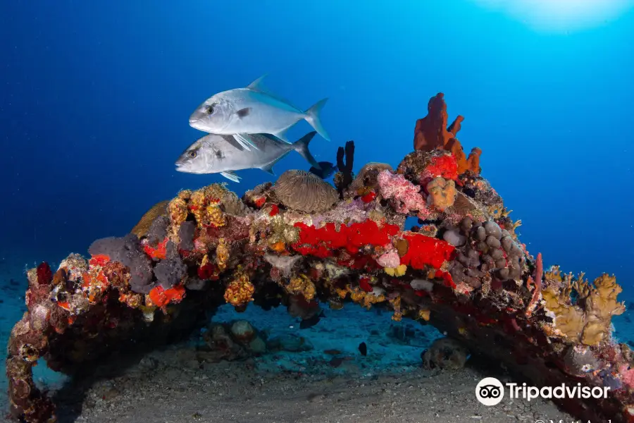 Sail Caribbean Divers