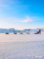 Husky Safari by Snowhotel Kirkenes