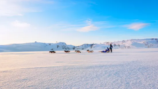 Husky Safari by Snowhotel Kirkenes