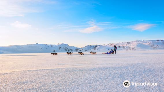 Husky Safari by Snowhotel Kirkenes one-day tour in Kirkenes, Norway