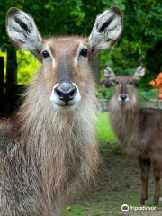 Krakow Zoo （Ogrod Zoologiczny）