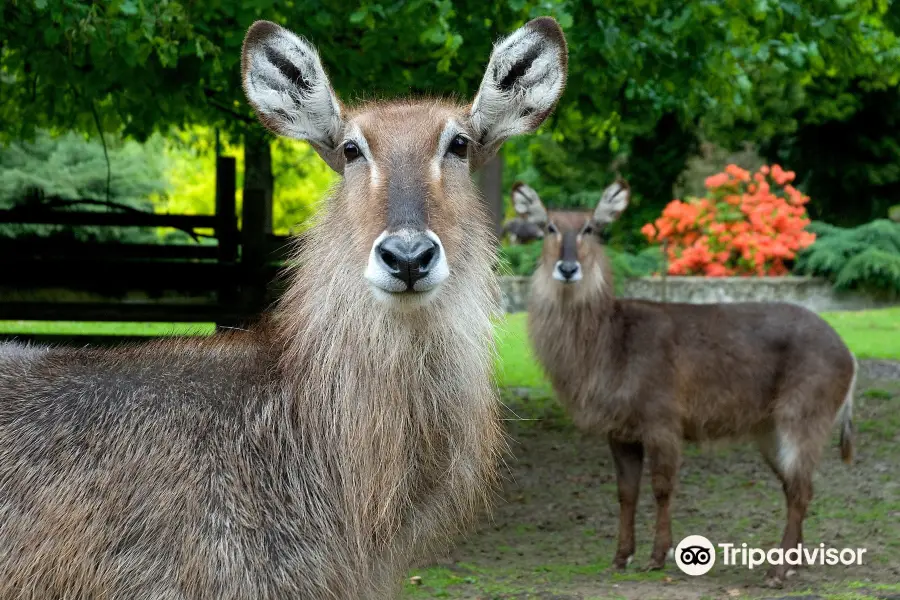 Kraków Zoo