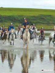 Moycullen Riding Centre