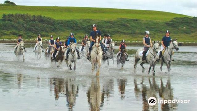 Moycullen Riding Centre