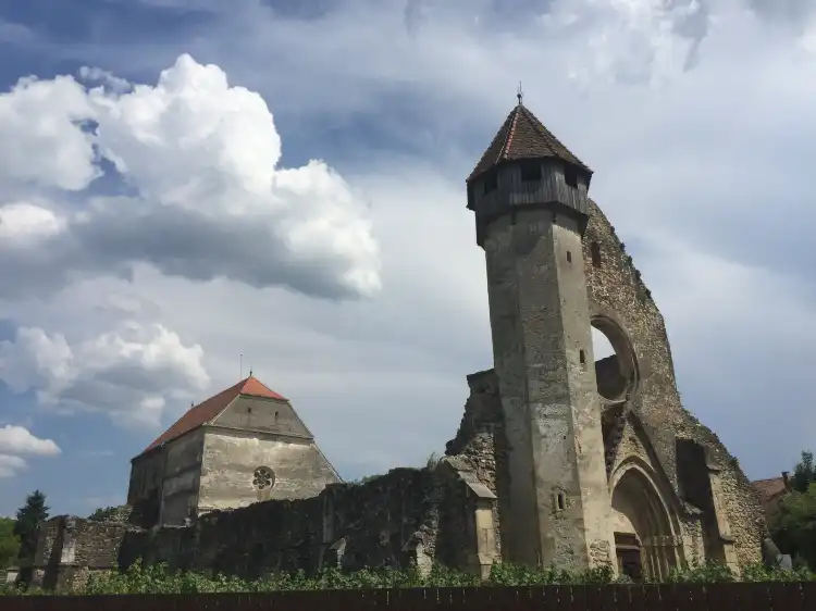Hotels in Arpasu de Jos