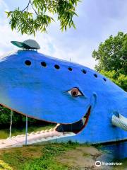 Baleine Bleue de Catoosa