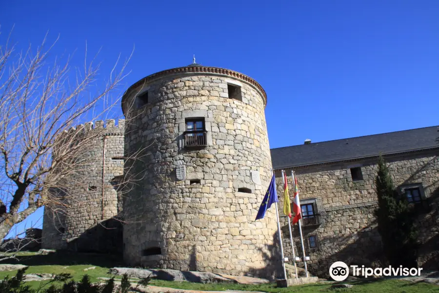 Palacio-Castillo Magalia