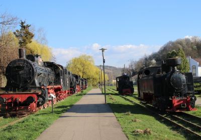 Steam Locomotive Museum Resita