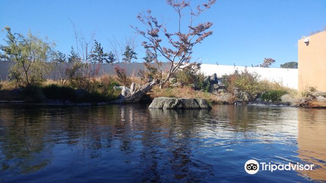 Aquamarine Fukushima