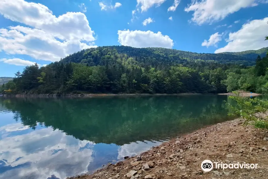 Lac d’Alfeld