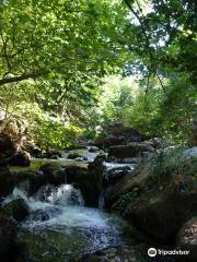 Gorge of Vouraikos