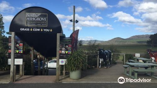 Ashgrove Cheese Dairy Door