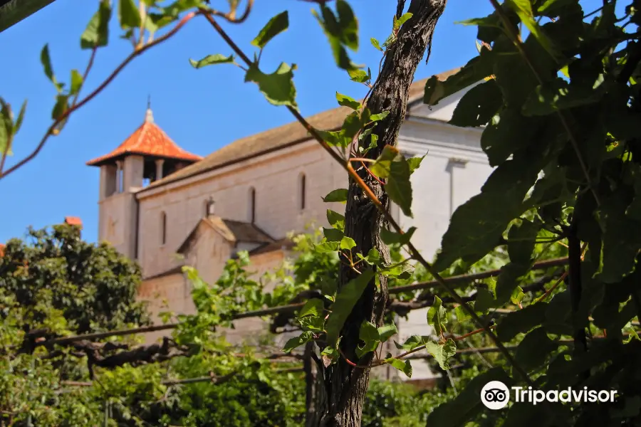 Dominican monastery and church of St. Petra