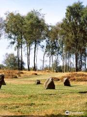 Nine Ladies Stone Circle