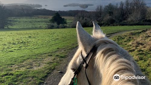 Killarney Riding Stables