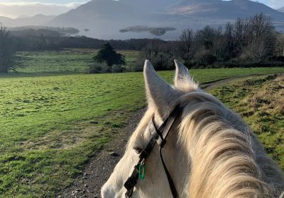 Killarney Riding Stables