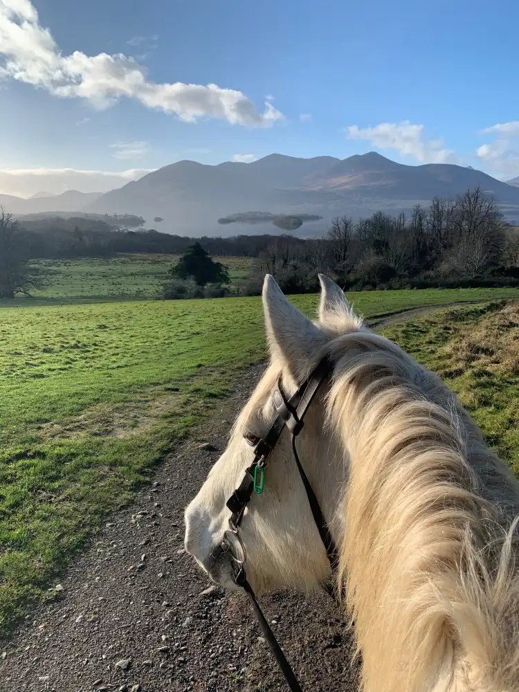 Hotel dekat Killarney Riding Stables