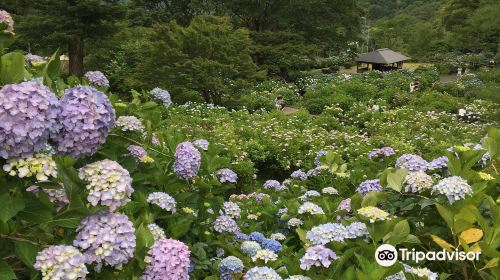 Maizuru Nature and Cultural Park