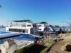 Cruceros Olmos