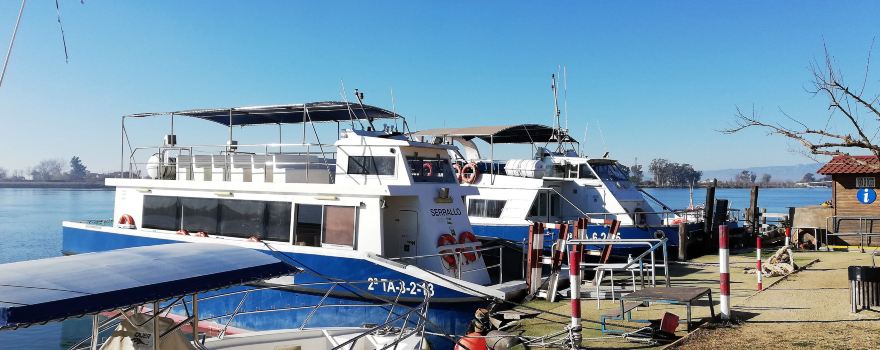 Cruceros Olmos