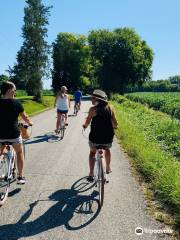 BASKET & BIKE