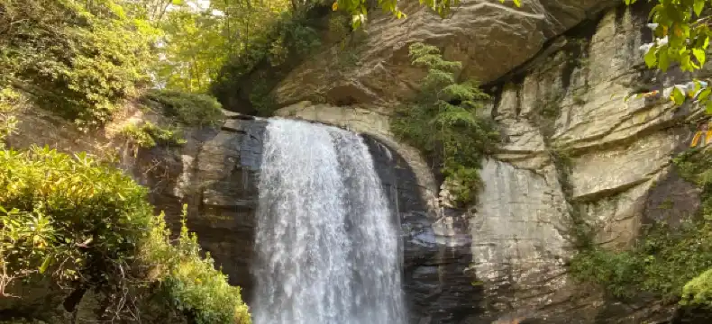 Hotels in Transylvania County
