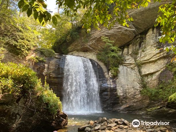 Looking Glass Falls