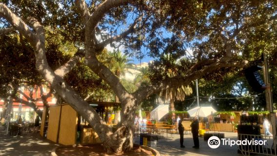 San Telmo Park