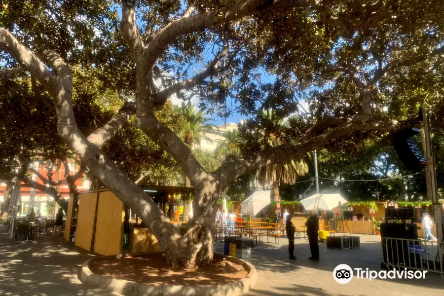 Parque de San Telmo