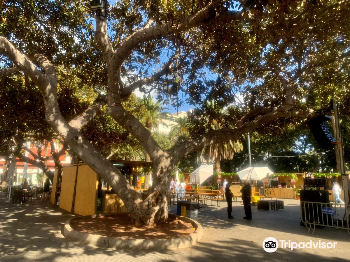 San Telmo Park