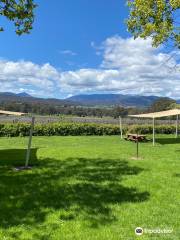 Gracebrook Vineyards