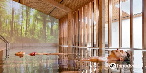 Rottal Terme Bad Birnbach